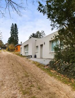 Über 7% Rendite! Vermietetes und saniertes Zweifamilienhaus in Walsrode - Walsrode