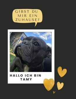 TAMY PP sucht Geborgenheit & Liebe - Neustadt (Rübenberge)