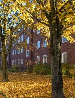 Demnächst verfügbar! 2-Zimmer-Wohnung in Kiel - Kiel