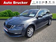 Skoda Octavia, 2.0 TDI Combi Soleil, Jahr 2019 - Marktredwitz