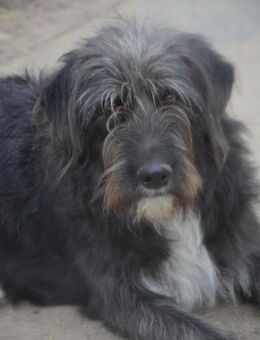 🤍PAM🖤 - Sindelfingen