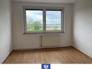 Sehenswerte 3-Zimmerwohnung mit Balkon in herrlicher grüner Umgebung! - Großenhain