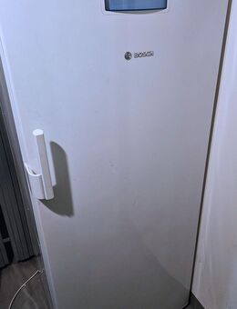 BOSCH Gefrierschrank A++ - gut erhalten No-Frost - Düsseldorf