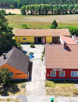 Landleben neu gedacht - charmantes Hofensemble mit Ausbauoption & Weide - Nuthe-Urstromtal