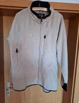 Herren Flecer Fila... - Meißen