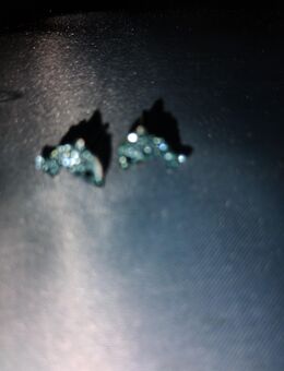 Silberschmuck 925 Anhänger und Ohrstecker - Goslar