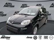 Fiat Panda, 1.0 Hybrid TFT Tacho, Jahr 2022 - Herford (Hansestadt)