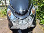 Honda PCX 125, Top zustand, siehe Bilder. - Berlin Reinickendorf
