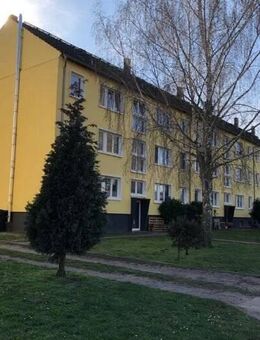 2 freie Wohnungen mit jeweils 3 Zimmern und Balkon - Salzwedel (Hansestadt)