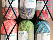 150g Sockenwolle 6ach Hot Socks "Ledro + Lago" superwash Gründl - Dahme