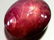 5,69 ct - TOP PURPLE RED STERN RUBIN , inkl. GHI ZERTIFIKAT - Neubrandenburg