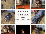 Zeller & Bella PP ein zauberhaftes Duo - Neustadt (Rübenberge)