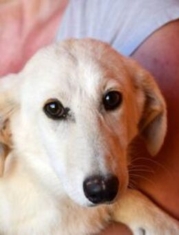 Geo freut sich auf Sie! - Neuss