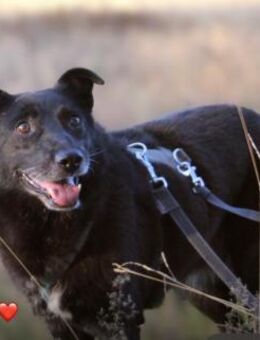 Hope - der Name ist Programm - Salzwedel (Hansestadt) Zentrum