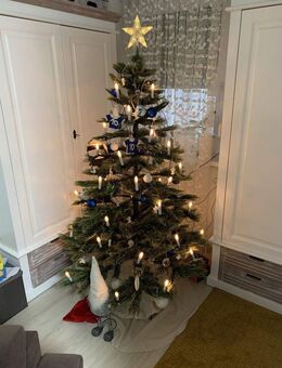 4-Zimmer-Erdgeschosswohnung mit großer Terrasse in Bammental zu vermieten - Bammental