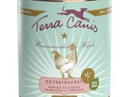 Sparpaket Terra Canis getreidefrei 12 x 800 g - Mix Wild & Huhn