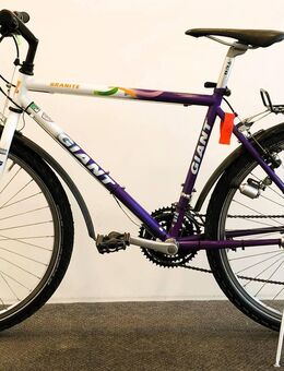 Herrenfahrrad der Marke GIANT, B23/205 - Aarau