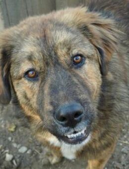 Menschenbezogener, lieber Puiu - Kallmünz