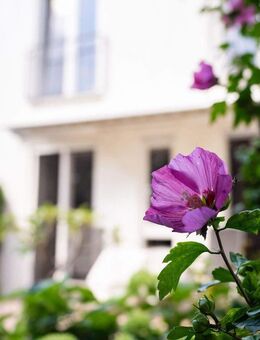 Großzügiges, energieeffizientes Reihenhaus in familienfreundlicher Lage von Berlin-Biesdorf - Berlin