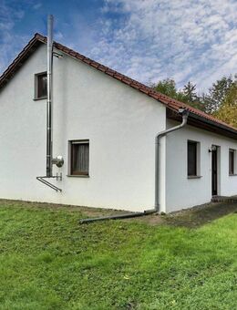Einfamilienhaus - Bungalow mit großem Grundstück und vielseitigen Nutzungsmöglichkeiten - Am Großen Bruch