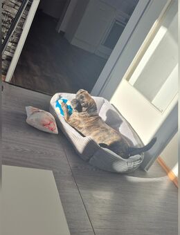 SUCHE EINE WOHNUG IN DUISBURG - Bremerhaven Zentrum