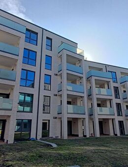 Wohnquartier - MUMMSCHE KOPPEL: Wohnen zwischen Campus & Innenstadt Moderne 2-Zimmerwohnung/EG - Flensburg