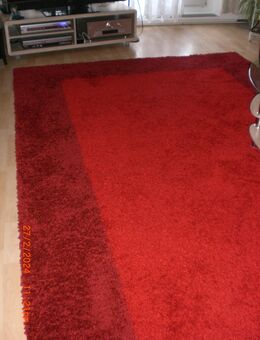 Teppich 200 x 300 cm - Senftenberg