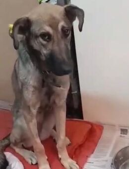 Barbie - Mönchengladbach