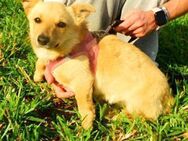 LOULOU - Ratingen
