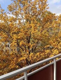 Der Herbst steht auf der Leiter... - Chemnitz