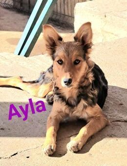 Ayla♥️ - Kissing