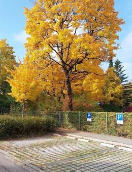 Ismaning, Maklerfrei, EG, ruhig, Südseite, Isarnähe, alters-, kindergerecht, Bezug sofort - Ismaning