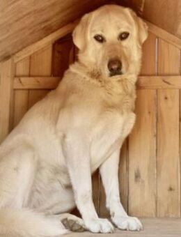 Tanita - braucht Menschen mit Geduld - Mettmann
