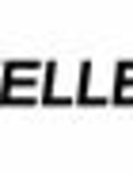 Automobilverkäufer MINI (m/w/d) - Bad Homburg (Höhe)