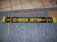 Borussia Dortmund - Erwitte