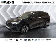 Ford Kuga, 1.5 EcoBoost ST-Line Winterp, Jahr 2024 - Berlin