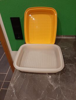 Tupperware Brot Behälter Laibwächter - Büdingen