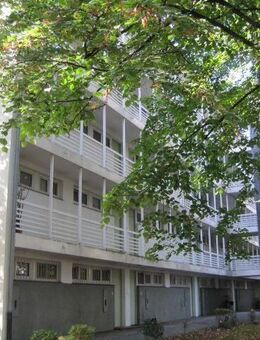 Singles aufgepasst! Ihr neues Zuhause erwartet Sie bereits! - Bonn
