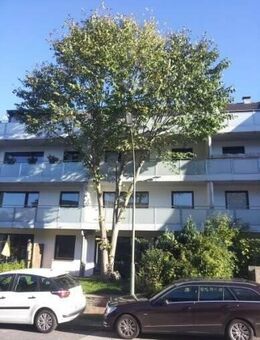 Schöne 2 Zi-Wohnung mit Sonnenbalkon an der Förde - Flensburg