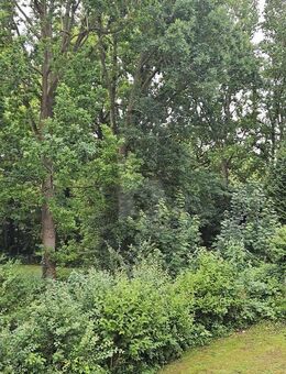 KLEIN ABER OHO - FERIENVERMIETUNG AN DER SEE - Sierksdorf