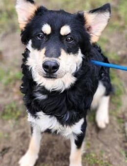 Arthur wartet auf sein Glück - Nordwalde