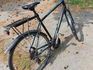 Herren Fahrrad 28" - Neustadt (Sachsen)
