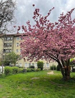 Schöne 2-Zimmer-Wohnung mit Tageslichtbad! - Bielefeld