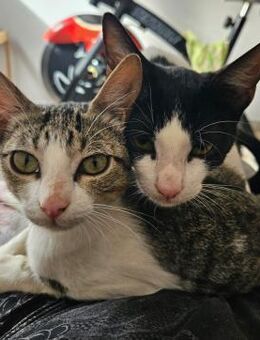 Brian und Maya (ALO) - Geisenheim