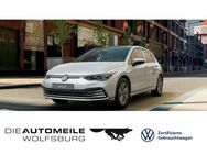 VW Golf, 2.0 TDI 8 VIII Life Stand, Jahr 2024 - Wolfsburg