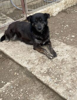Lola sucht ihr Glück - Leipzig