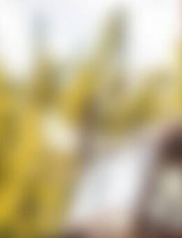 KMa*** - Laucha (Unstrut)