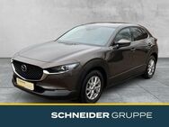 Mazda CX-30, 2.0 Selection X M Hybrid, Jahr 2020 - Zwickau