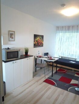 1-ZW Höchberg (Würzburg), voll MÖBLIERT, ruhige Lage mit Terrasse ins Grüne - Höchberg