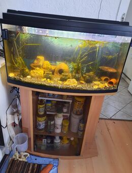 AQUARIUM MIT UNTERSCHRANK - Münsingen